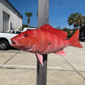 Mount This 32" Snapper Sherri Two Sided Mount Fiberglass Fish Replica - Image 1
