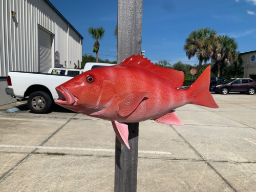AMIT_RED-SNAPPER-1-e1702296330225.png