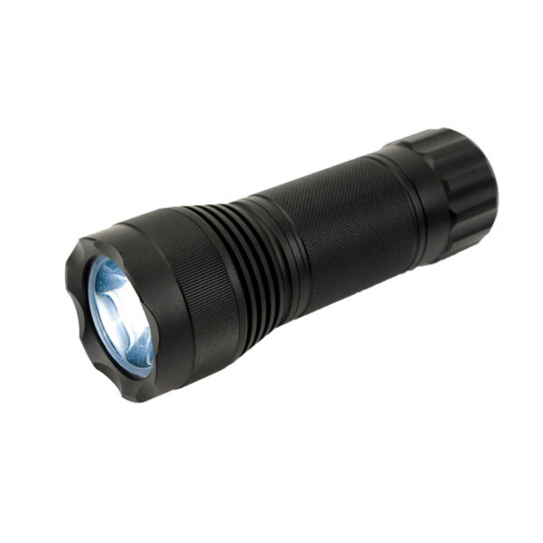 led3.backup.torch_206.3060.M.jpg