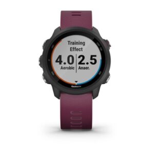 Garmin Forerunner 245, Merlot - Image 5