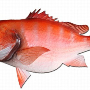 Mount This 39" Snapper Red Half Mount Fish Replica - Image 1