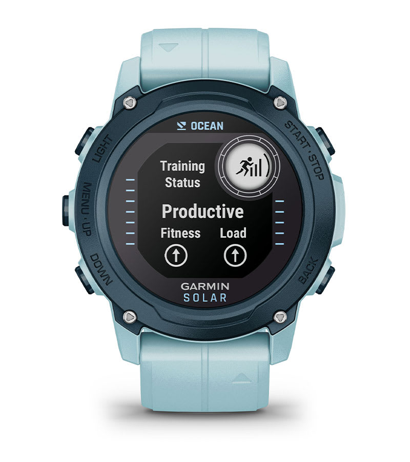 TRAINING STATUS