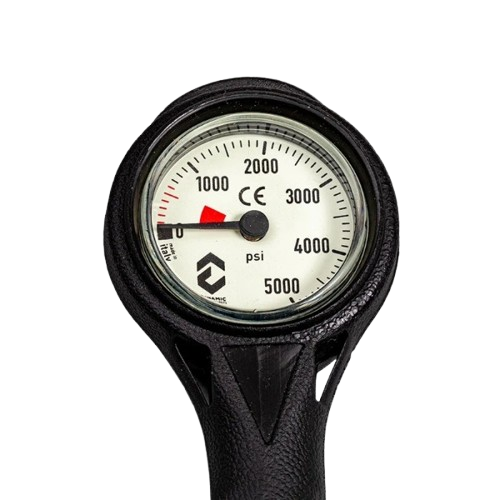 pressure gauge